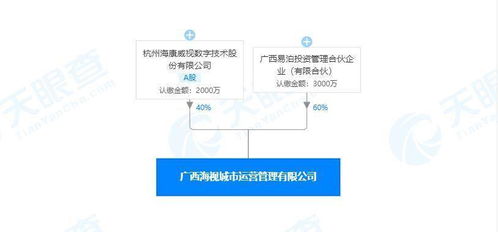 ?？低晠⑴c投資成立城市運營管理公司 經營范圍含安全系統監控服務等